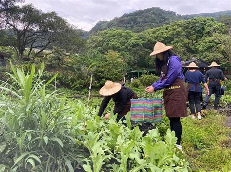 農村廚房|農村廚房｜宜蘭音樂米～百年市場的在地食材尋味之